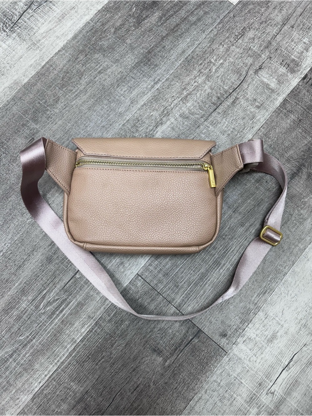 Freshly Picked Classic Fanny Pack - Picture 3 of 4